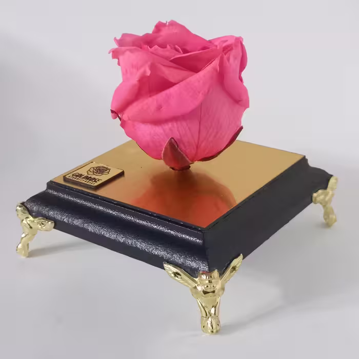 گل رز جاودان گلد رز مدل PINK 154