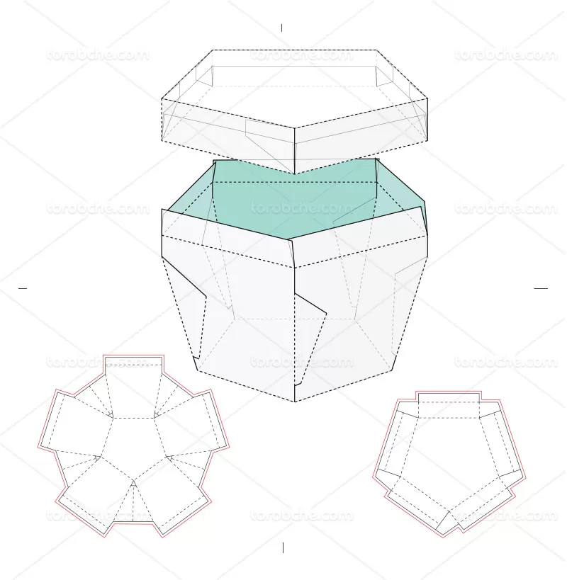 وکتور طرح گسترده جعبه پنج ضلعی | گرافیک با طعم تربچه