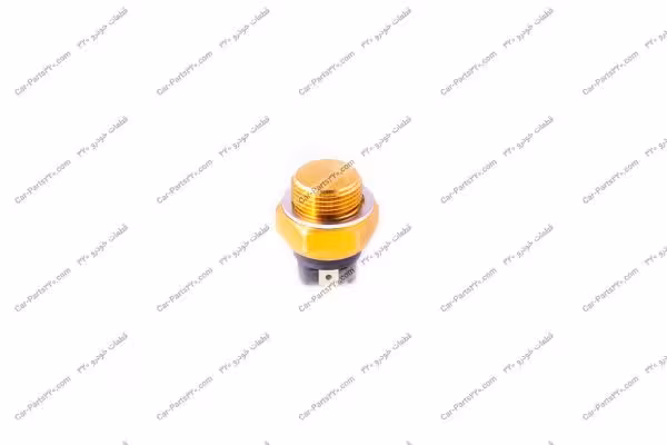 مهره اب بغل رادیاتور دوو ریسر FAE