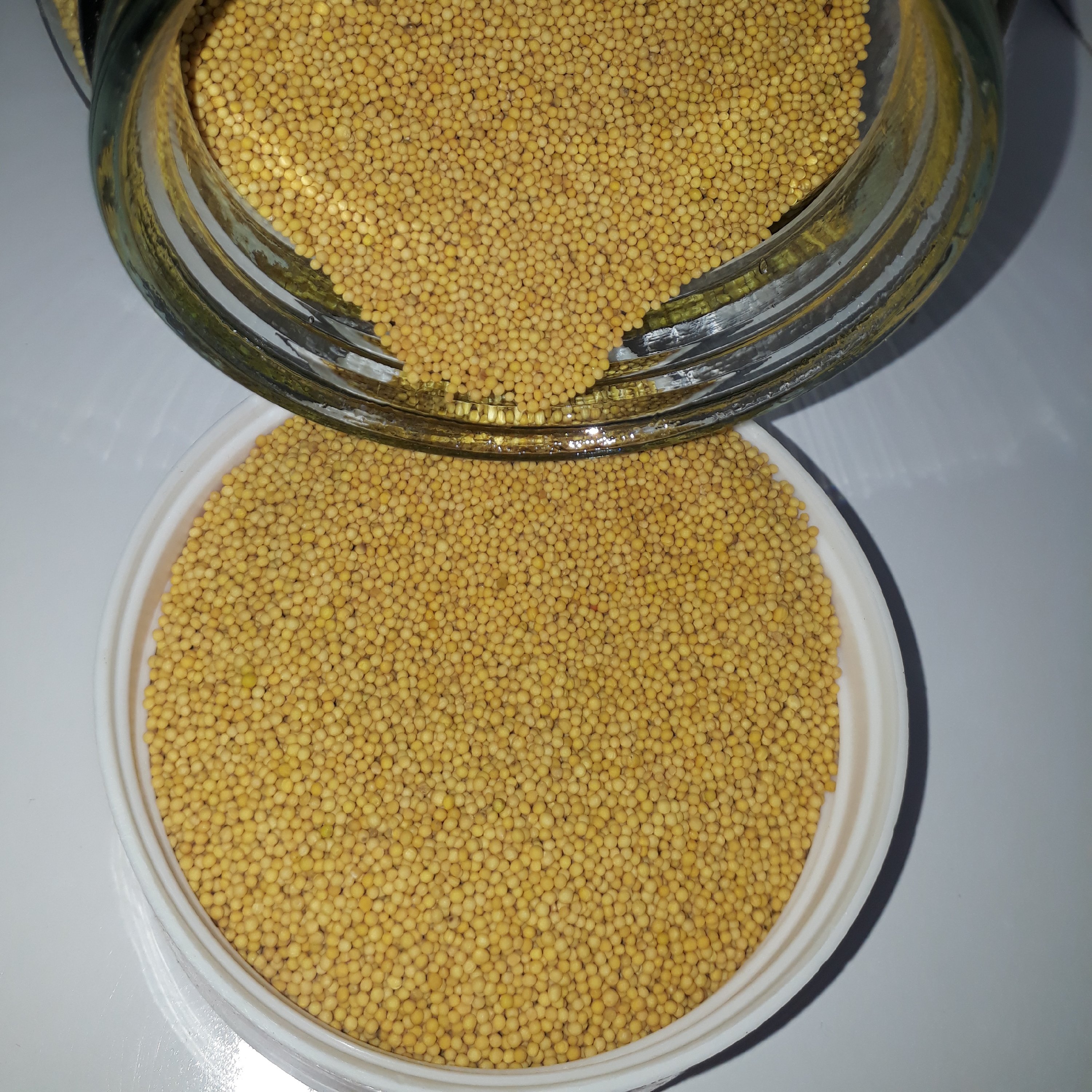 خردل (آسیاب نشده)