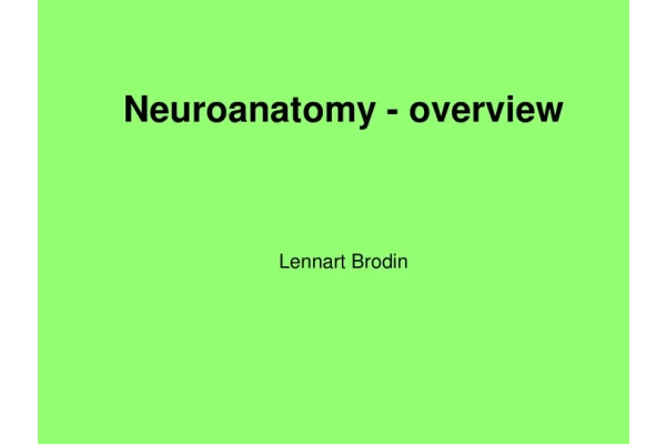فایل چکیده ای از تصاویر نوروآناتومی 🔬 - کتابخانه مجازی واتیکان