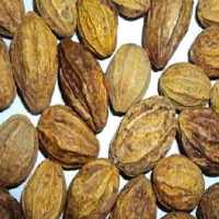 هلیله زرد یا هروهر یک کیلویی عطاری دستانی  