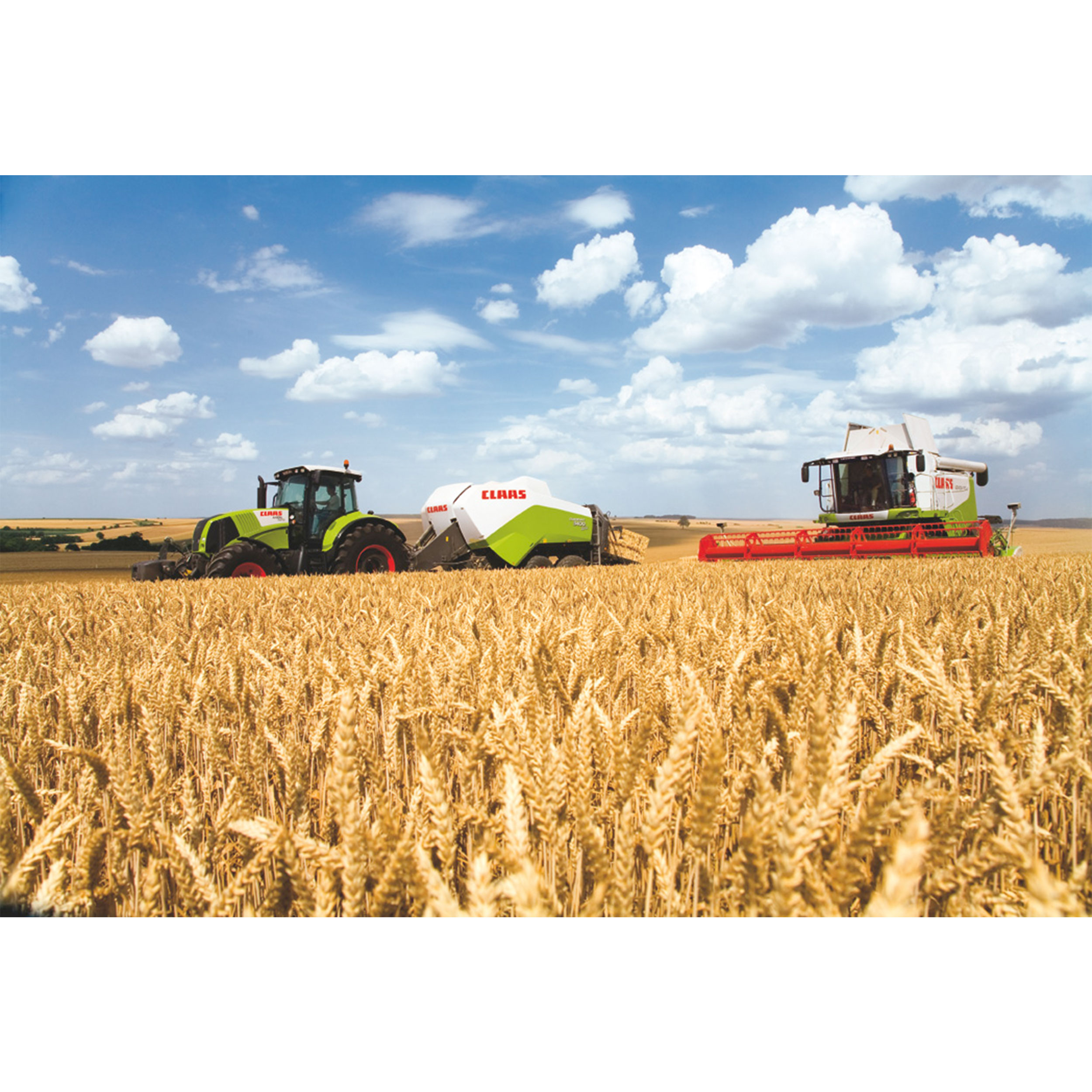 تابلو شاسی مدل مزرعه گندم و برداشت محصول T6976