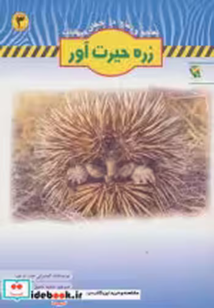 قیمت و خرید کتاب زره حیرت آور اثر کیمبرلی جین پریور | ایده بوک