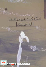 قیمت و خرید کتاب لشگر شکست خورده کلمات | ایده بوک
