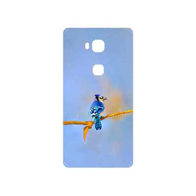 برچسب پوششی ماهوت مدل Cyanocitta cristata مناسب برای گوشی موبایل هوآوی GR5