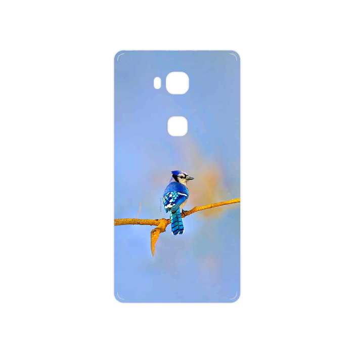 برچسب پوششی ماهوت مدل Cyanocitta cristata مناسب برای گوشی موبایل هوآوی GR5