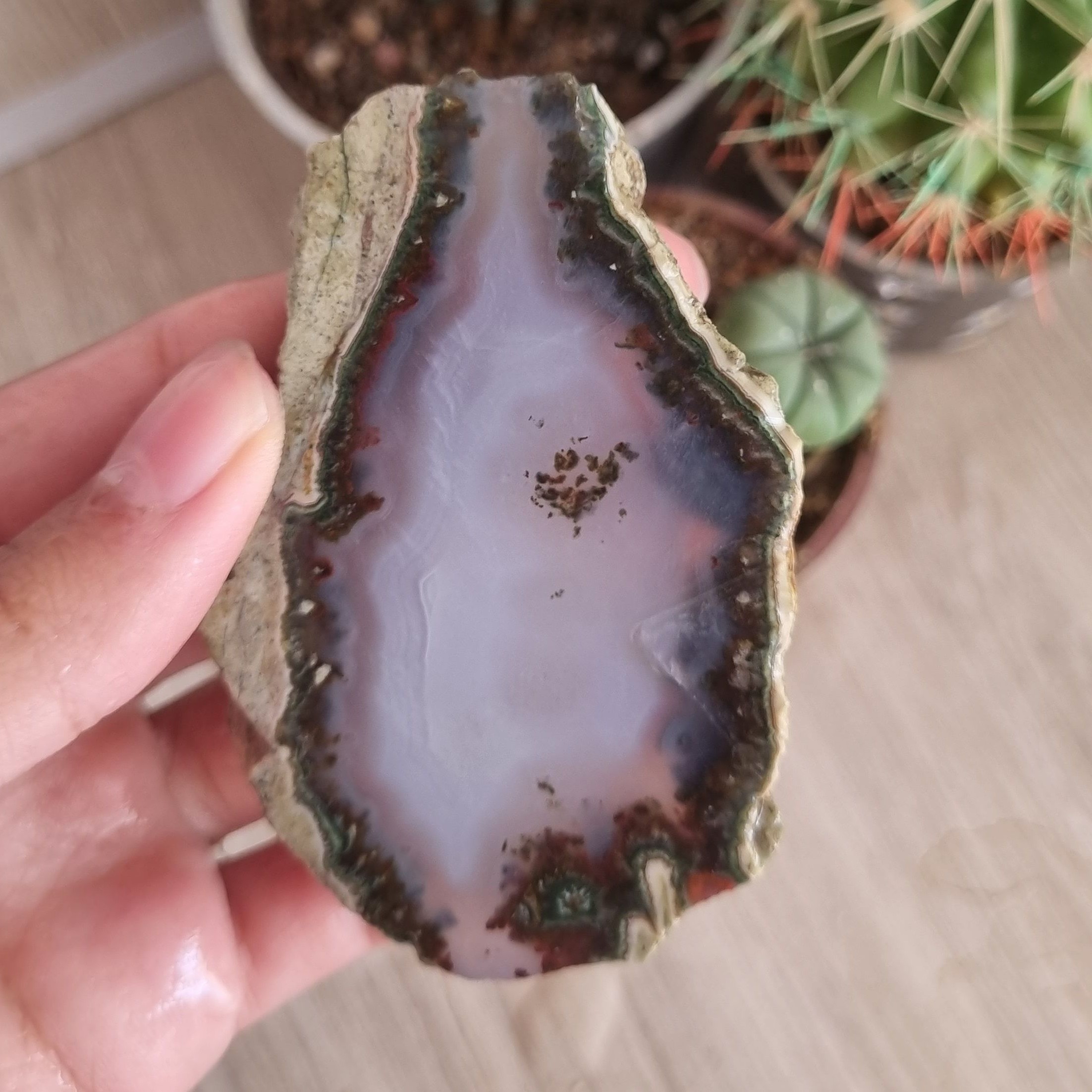 اسلب سلیمانی با حاشیه شجر 