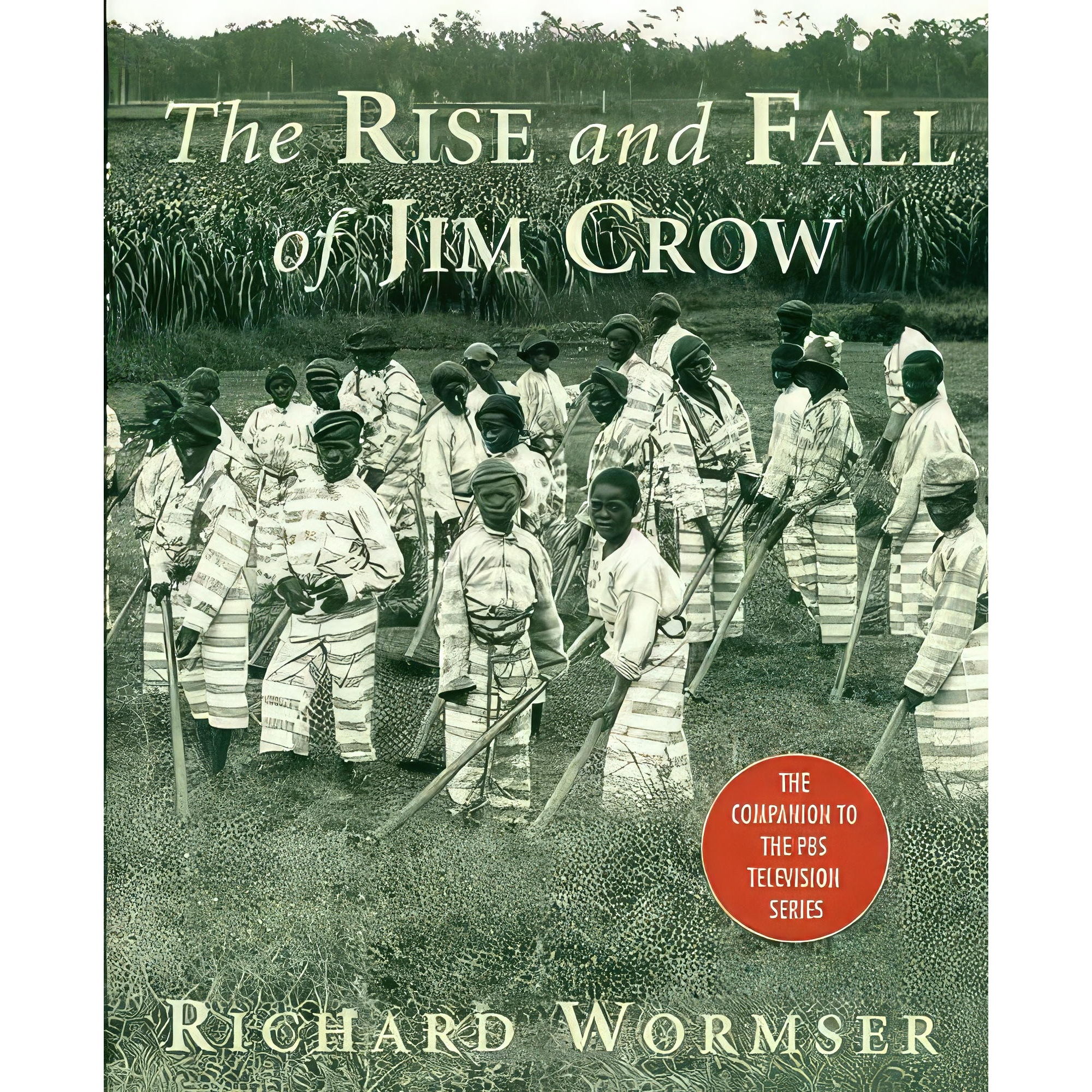 کتاب The Rise and Fall of Jim Crow اثر Richard Wormser انتشارات St Martin's Press