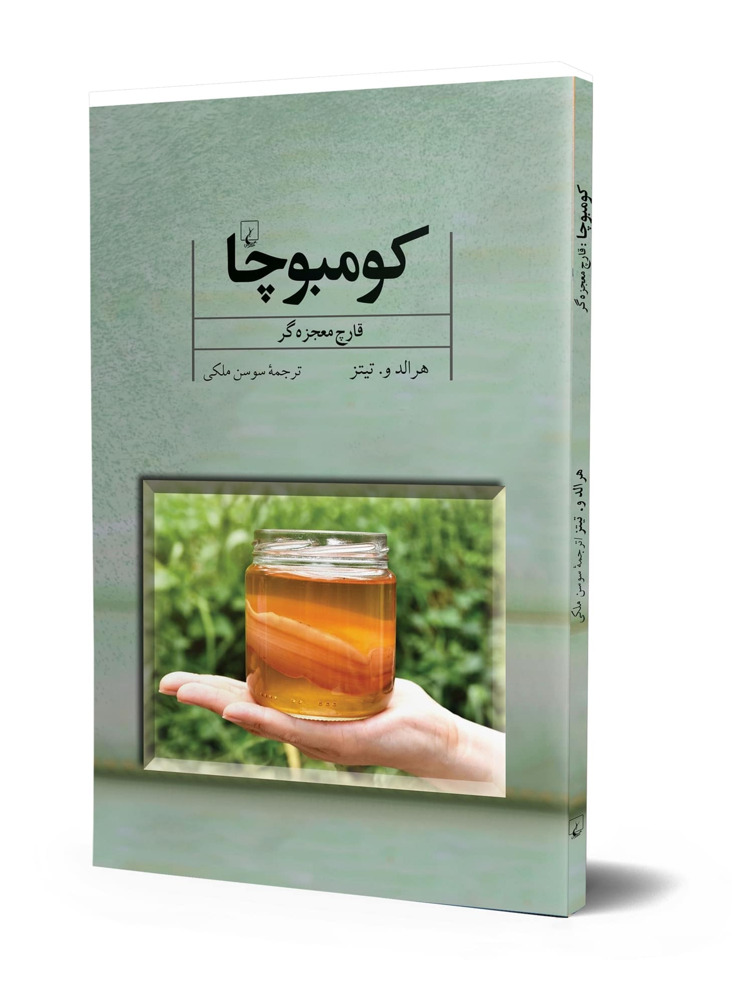 کومبوچا