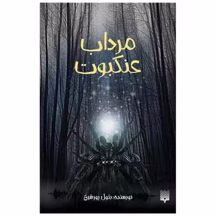 کتاب مرداب عنکبوت اثر بتول پور شیخ