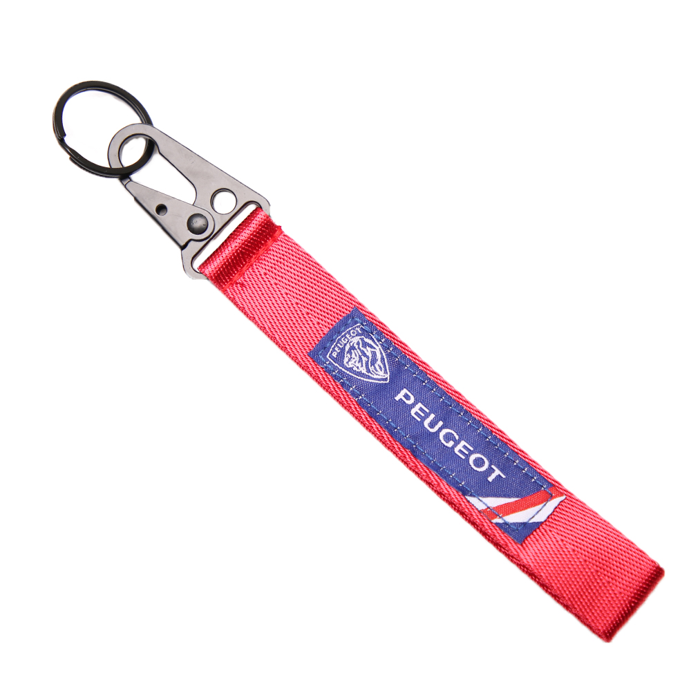 جاسوئیچی خودرو مدل P2