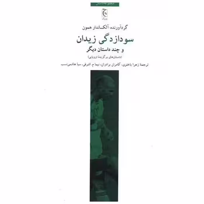 کتاب سودازدگی زیدان اثر آلکساندرا همون