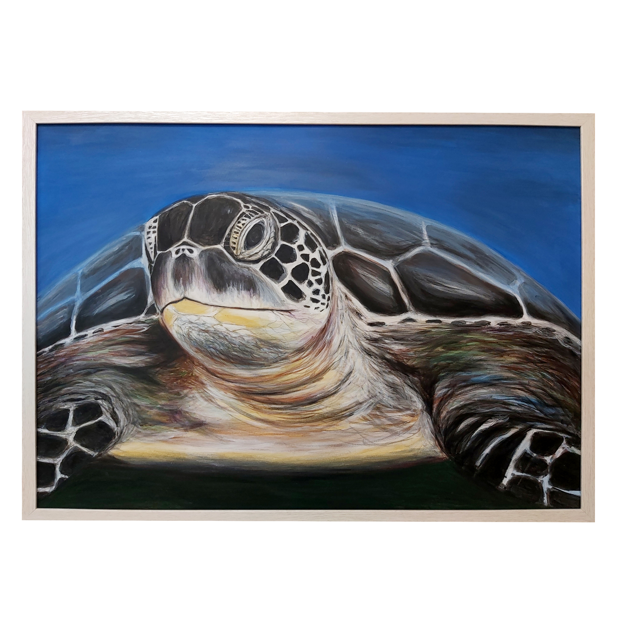 تابلو نقاشی اکریلیک طرح لاکپشت پوزه عقابی کد 5014