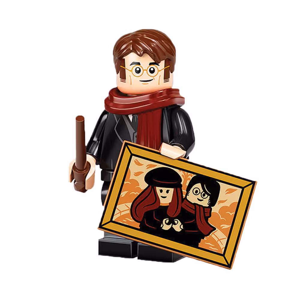 ساختنی مدل James Potter