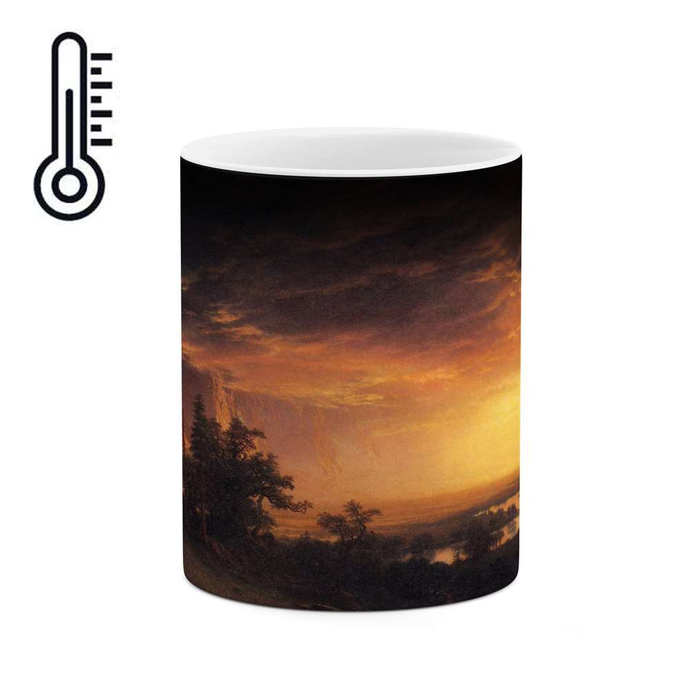 ماگ حرارتی کاکتی طرح نقاشی مدل mgh13672