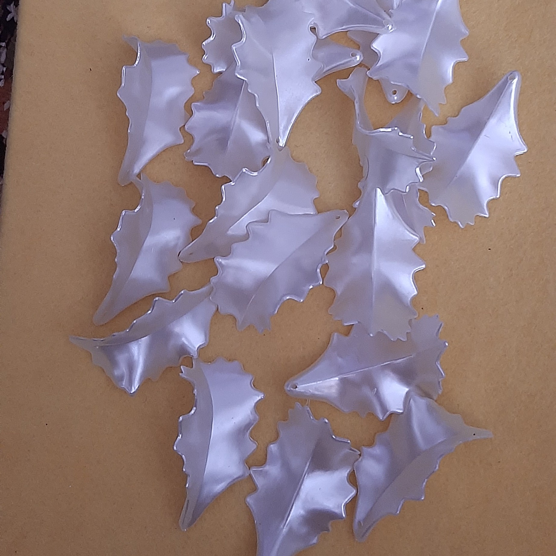 گل کریستال . لیلیوم بزرگ صدفی. بسته 20تایی