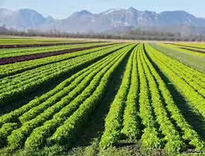 پاورپوینت اصول و مفاهیم كشاورزي ارگانيك
