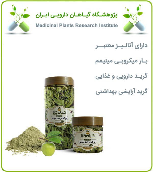 برگ درخت سیب خشک یا پودری بسته بندی