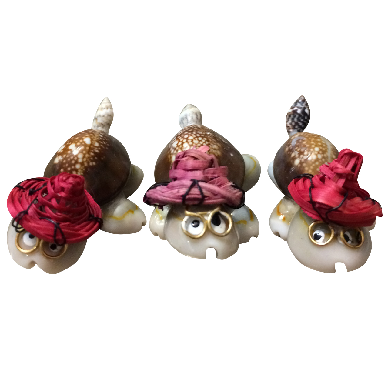 صدف تزیینی مدل لاک پشت کد 11 مجموعه 3 عددی