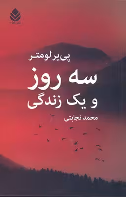 سه روز و یک زندگی