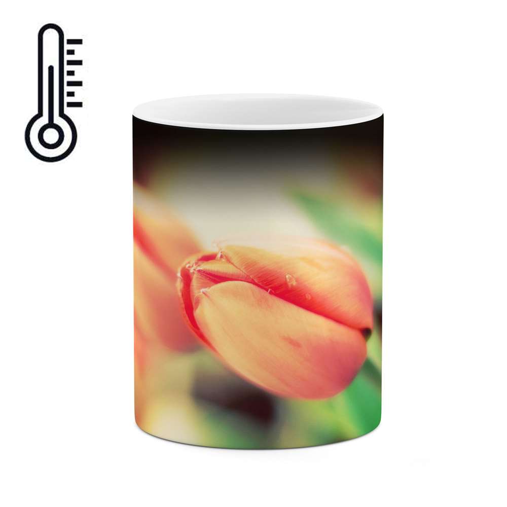 ماگ حرارتی طرح گل مدل mgh12068