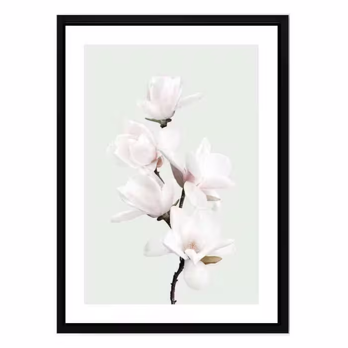 تابلو مدل Pastel magnolias کد 248901342 | دنیای قاب