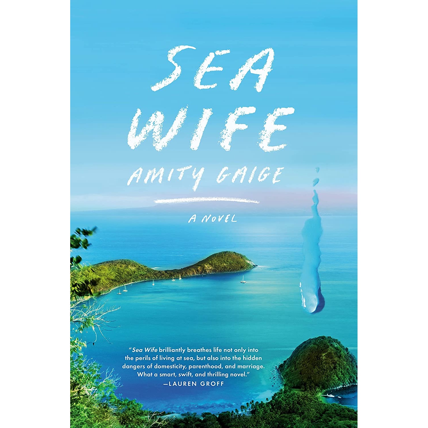 کتاب Sea Wife اثر Amity Gaige انتشارات Knopf