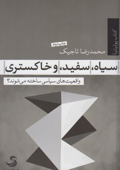 سیاه سفید خاکستری: واقعیت های سیاسی ساخته می شوند | مرکز فرهنگی آبی