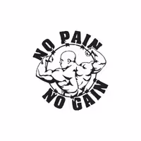 برچسب بدنه خودرو گراسیپا طرح no Pain مدل 03