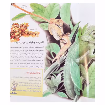 کتاب از من بپرس چرا حیوانات جنگل اثر آنجلا ویلکز انتشارات عروج اندیشه جلد 5