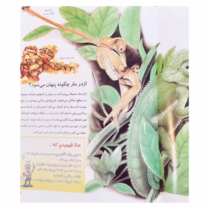 کتاب از من بپرس چرا حیوانات جنگل اثر آنجلا ویلکز انتشارات عروج اندیشه جلد 5