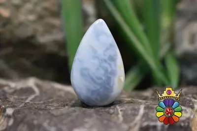 اپال باهاما (اپال ابی)