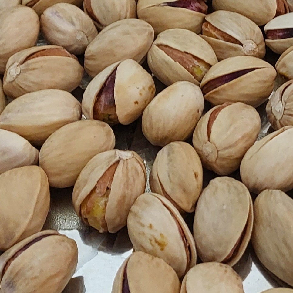 پسته فندقی درجه یک امسالی دستچین 500 گرمی