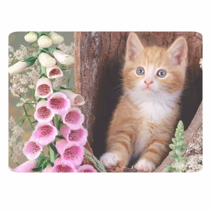 ماوس پد طرح گربه کد B423