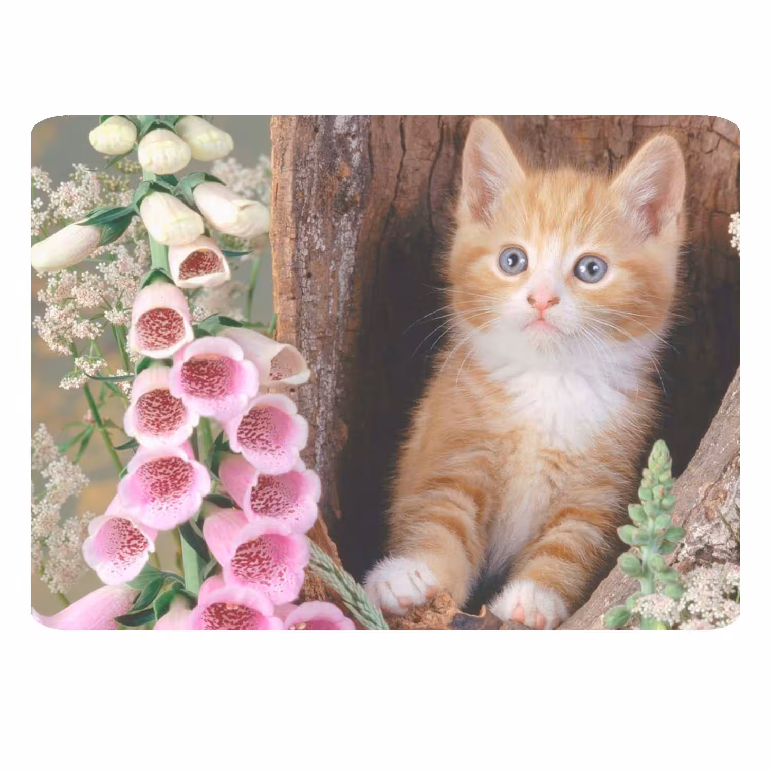 ماوس پد طرح گربه کد B423