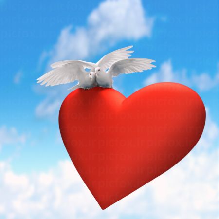 خرید و دانلود عکس Love-Part-1 کد 31666 | پیک فاکس | Pic Fox