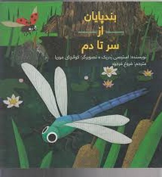 بندپایان از سر تا دم | مرکز فرهنگی آبی