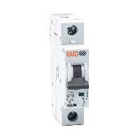کلید مینیاتوری 1 پل 10 آمپر RB-M-1P-C10-6KA رعد