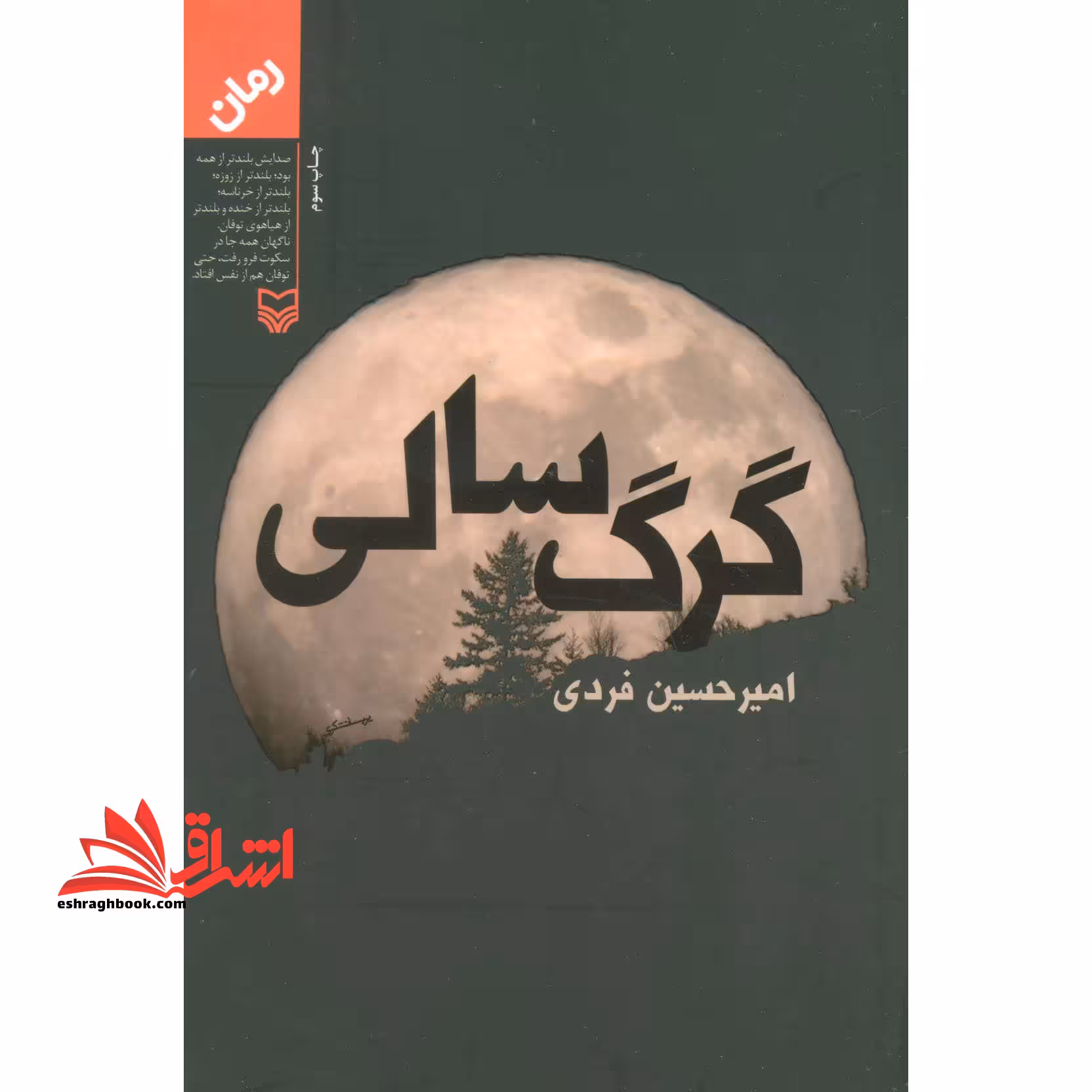 کتاب گرگ سالی - فروشگاه کتاب اشراق