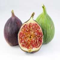 خرید و دانلود عکس Food-Part-15 کد 19115 | پیک فاکس | Pic Fox