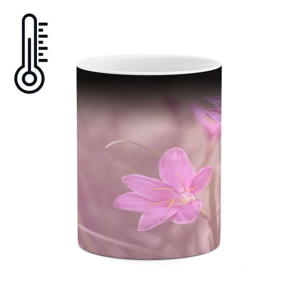 ماگ حرارتی کاکتی طرح گل مدل mgh17243