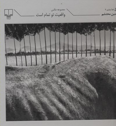 واقعیت تو تمام است