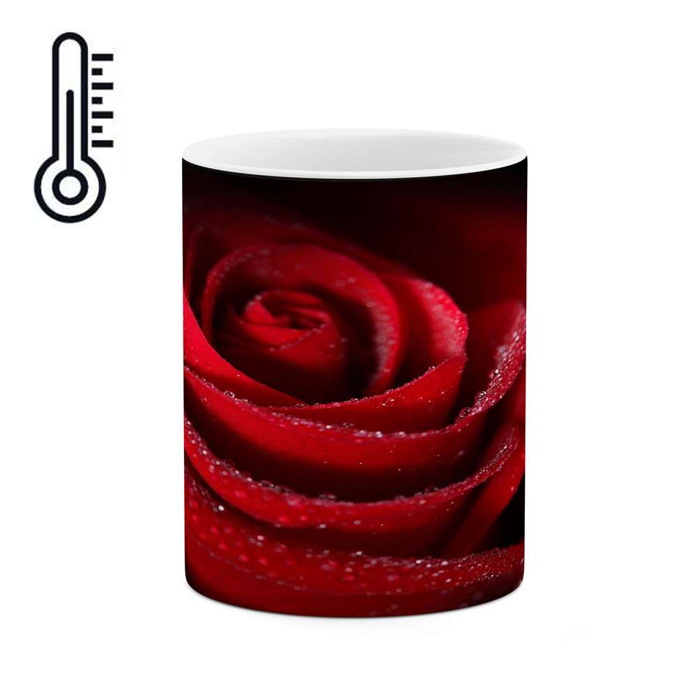 ماگ حرارتی 
کاکتی طرح گل رز مدل mgh18048