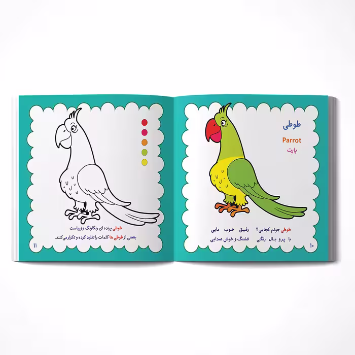 کتاب رنگ آمیزی پرندگان خانگی همراه با شعر اثر مریم طالشی انتشارات یاس بهشت