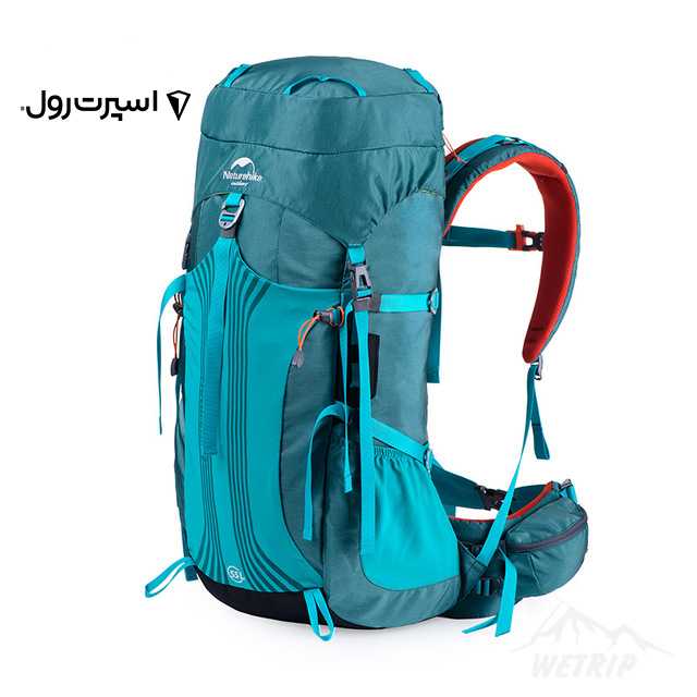 کوله پشتی نیچرهایک گنجایش 65 لیتر NH16Y065-Q