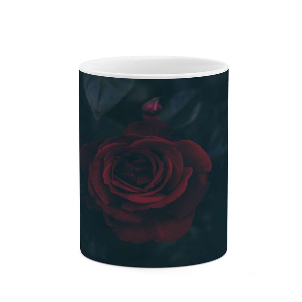 ماگ کاکتی طرح گل مدل mgs16448