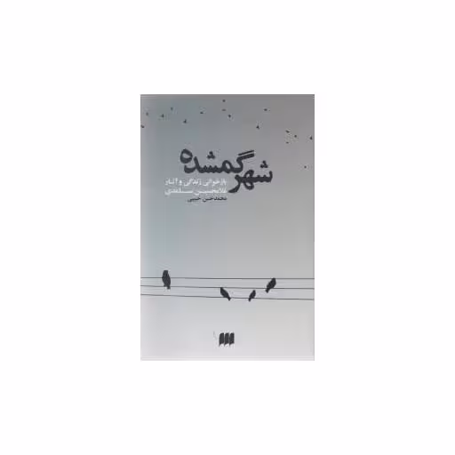 کتاب شهر گمشده اثر محمد حسن حبیبی