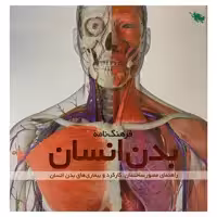 کتاب فرهنگ‌نامه بدن انسان اثر استیو پارکر نشر طلایی