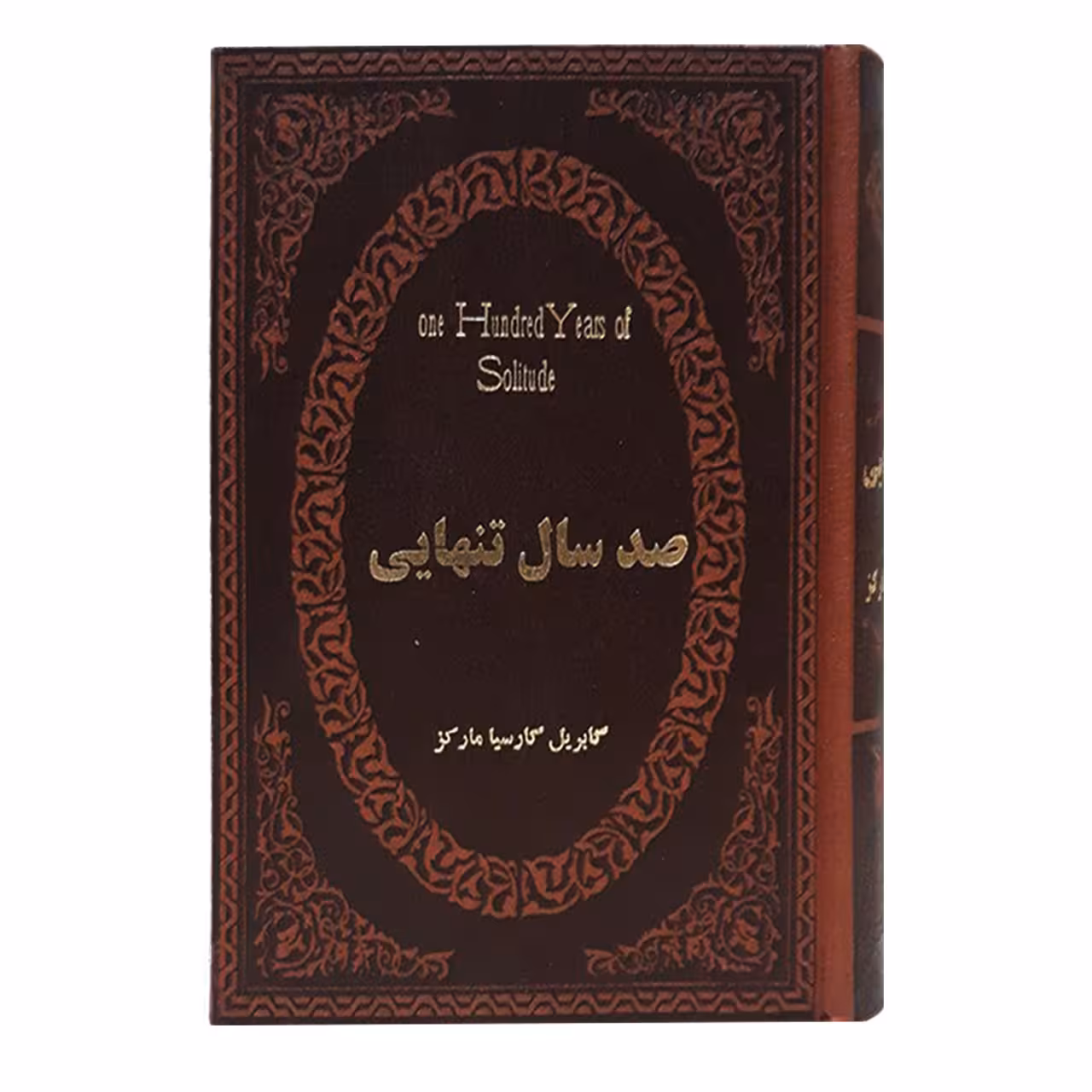 کتاب صد سال تنهایی اثر گابریل گارسیا مارکز انتشارات پارمیس